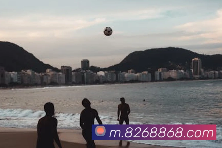 8868体育APP 封面图